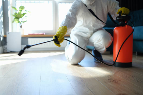 Reliable Odor Removal contractor in Lakeview, WA by Trauma Clean Pros